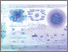 [thumbnail of B S_UnearthingHiddenTreasures_Gigamap_2024.png]